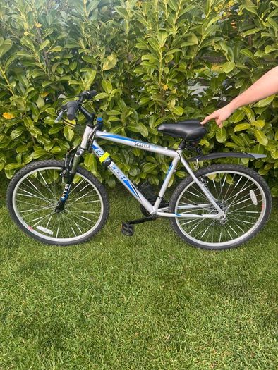 Mens Raleigh Mountain Bike
