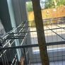 Dog crate Image 3