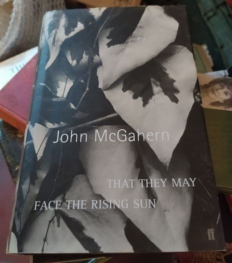 1st edition,hardback,John McGahern/That They May Face The Rising Sun