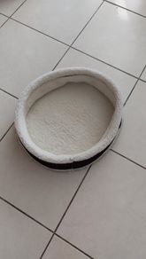 Cat bed or dog bed