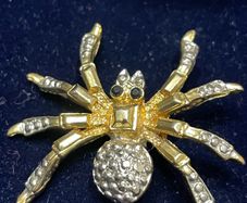 brooch