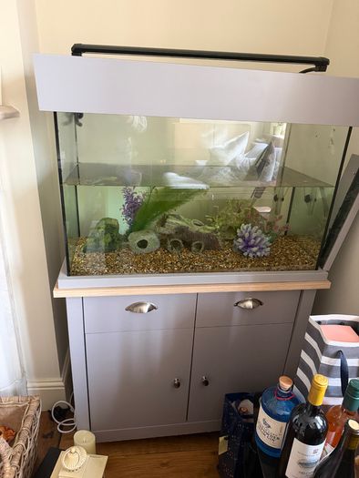 Large fish Tank