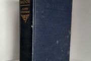My Lady of The Moor by John Oxenham (HQ389)