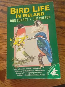 Bird Life In Ireland