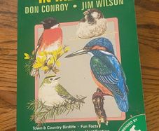 Bird Life In Ireland