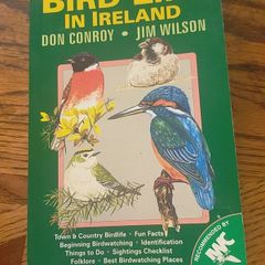 Bird Life In Ireland