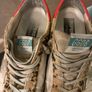 Golden Goose Image 6