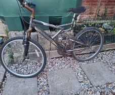 Free Bicycle