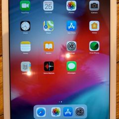 Apple iPad Air