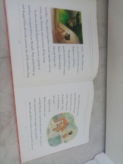 Disney Storybook Collection