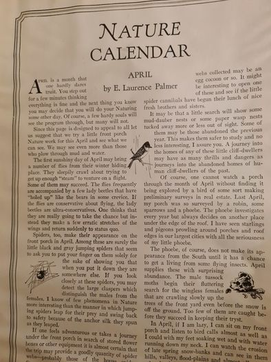 Rare Vintage.  1929. April Edition.  Volume 13 No4 Magazine.