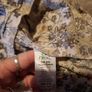 floral boho girls top from next Image 5
