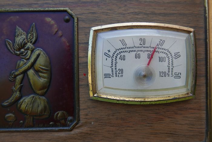 Vintage Thermometer