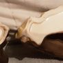 hornsea and eastgate pottery Image 3