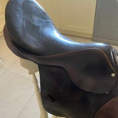 Horses  Saddle