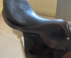 Horses  Saddle