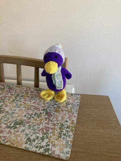 Silly duck