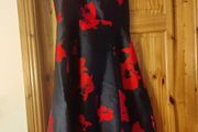 ladies dress