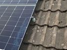 Solar bird guard Image 6
