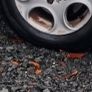 Renault kangoo parts full van Image 2