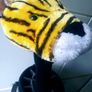 Nike TW Vapour Driver Ltd edition Image 9