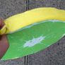 Round Flat Lemon Cushion (brand New). Image 2