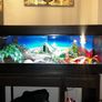 reptile vivarium Image 2