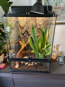 Exo Terra Glass Terrarium  45x45x60cm