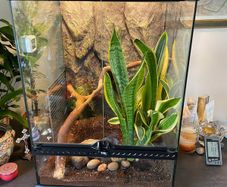 Exo Terra Glass Terrarium  45x45x60cm