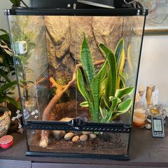 Exo Terra Glass Terrarium  45x45x60cm