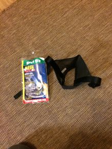 dog muzzle
