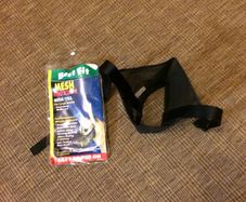 dog muzzle