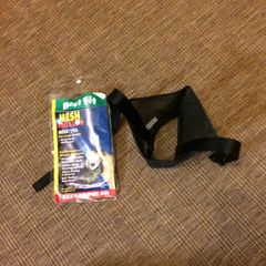 dog muzzle