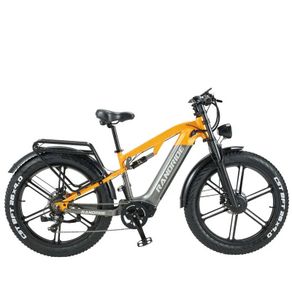 Randride Yx80m Plus Electric Bike