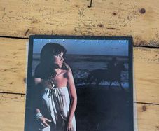 Linda Rondstadt - Hasten Down The Wind Vinyl