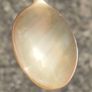1937 Horn and Sterling Silver Spoon Image 5