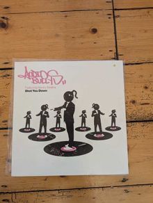 Audio Bullys - Shot You Down Vinyl