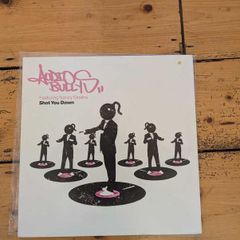 Audio Bullys - Shot You Down Vinyl