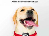 main image for ad High Quality Pet Mini GPS Tracker Collar For Cats Dogs GSM GPRS Tracking Device Waterproof D6