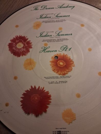 The Dream Academy - Indian Summer - 12" picture disc - 1987