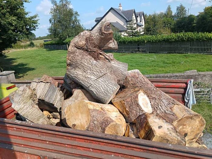 firewood
