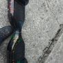 HOVERBOARD, Black with colouration, No Charger so cannot test, excellent cosmetic condition Image 4