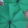 2 new Umbrella Image 5