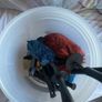 Exterior detailing Equipment Image 2