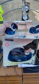 automatic dog or cat feeder