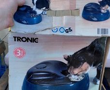 automatic dog or cat feeder