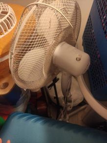 fan