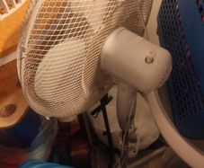 fan