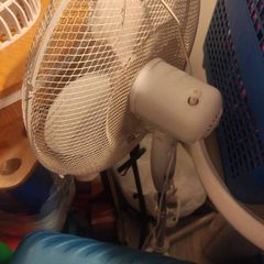 fan