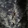 Like New. Gorgeous Mela London lightweight black faux fur jacket, size 14 Image 2